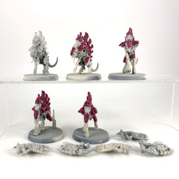 Barbgaunts