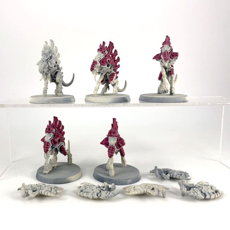 Barbgaunts