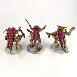 Warriors
