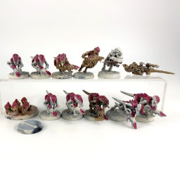 Termagants + nuée voraces