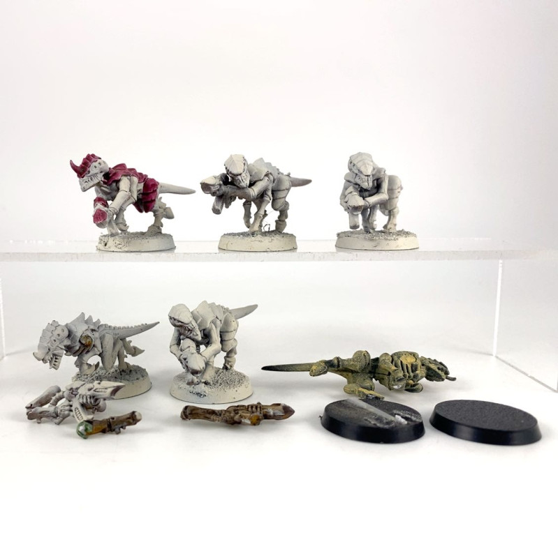 Termagants