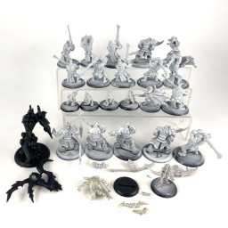 Lot Privateer Press Hordes