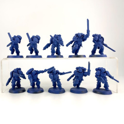 Intercessor d'assaut