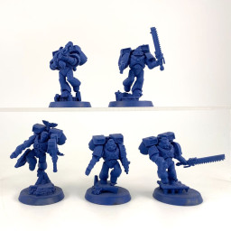 Vanguard Veteran Squad