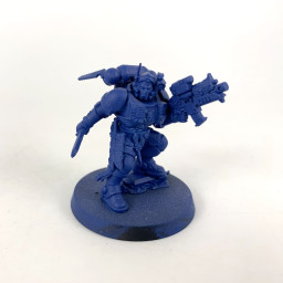 Lieutenant Primaris en...