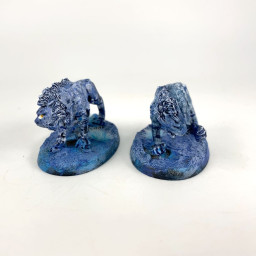 Frost Sabres