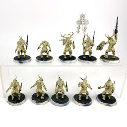 Portepestes