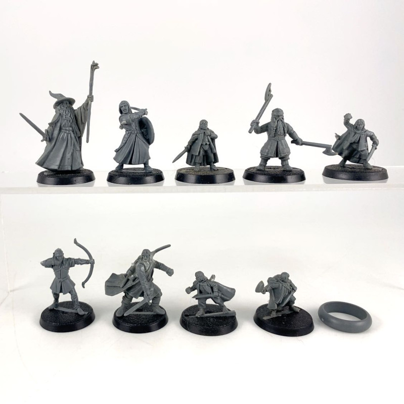 fellowship of the ring