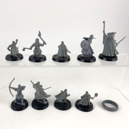 fellowship of the ring