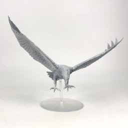 Grands aigles
