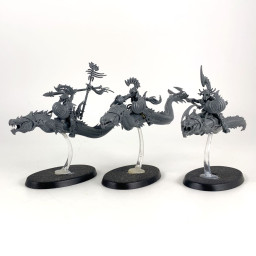 Akhelian Morrsarr Guard