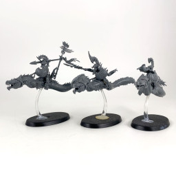 Akhelian Morrsarr Guard