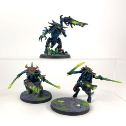Warriors