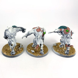 Rat Ogors