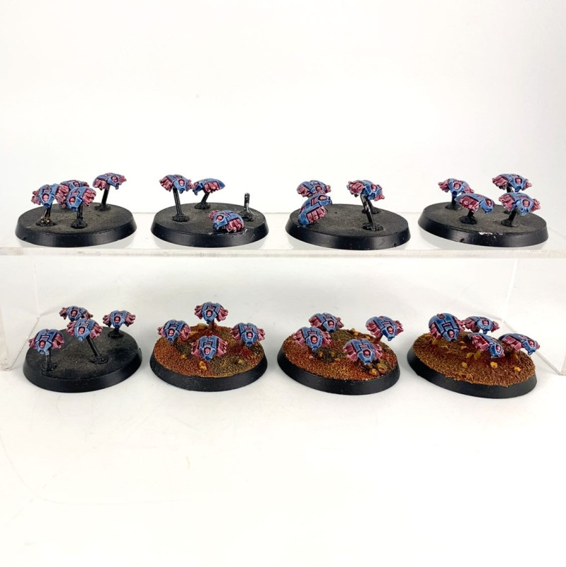 scarab swarms