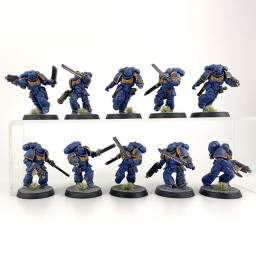 Intercessor d'assaut