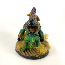 Krootox riders