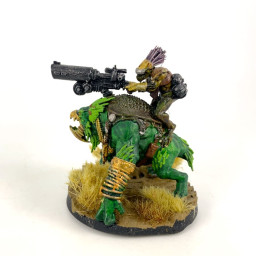 Cavalier Krootox