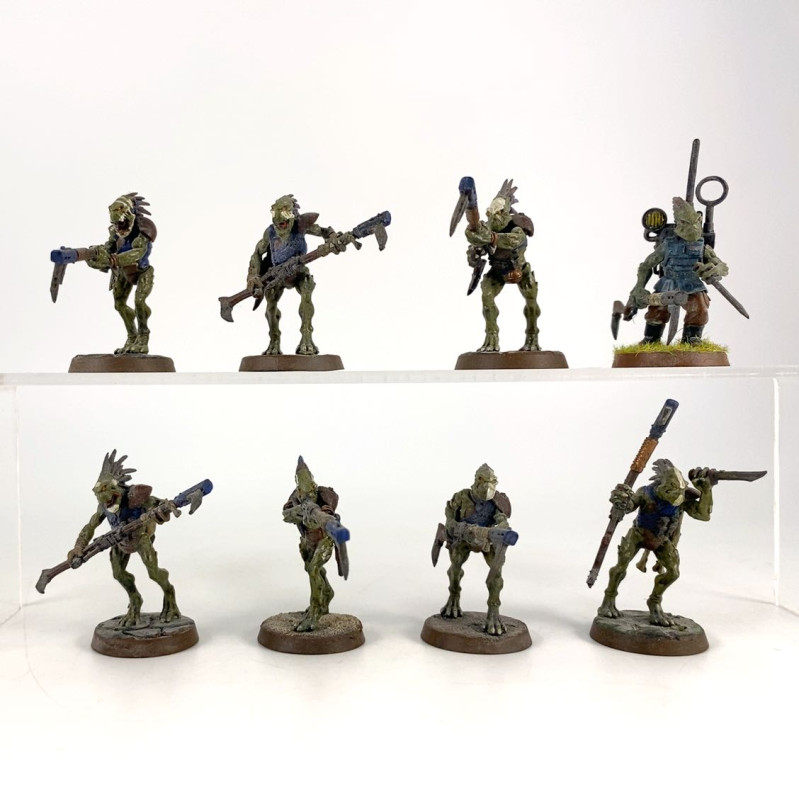 Carnivores Kroots Ancienne Version conversion