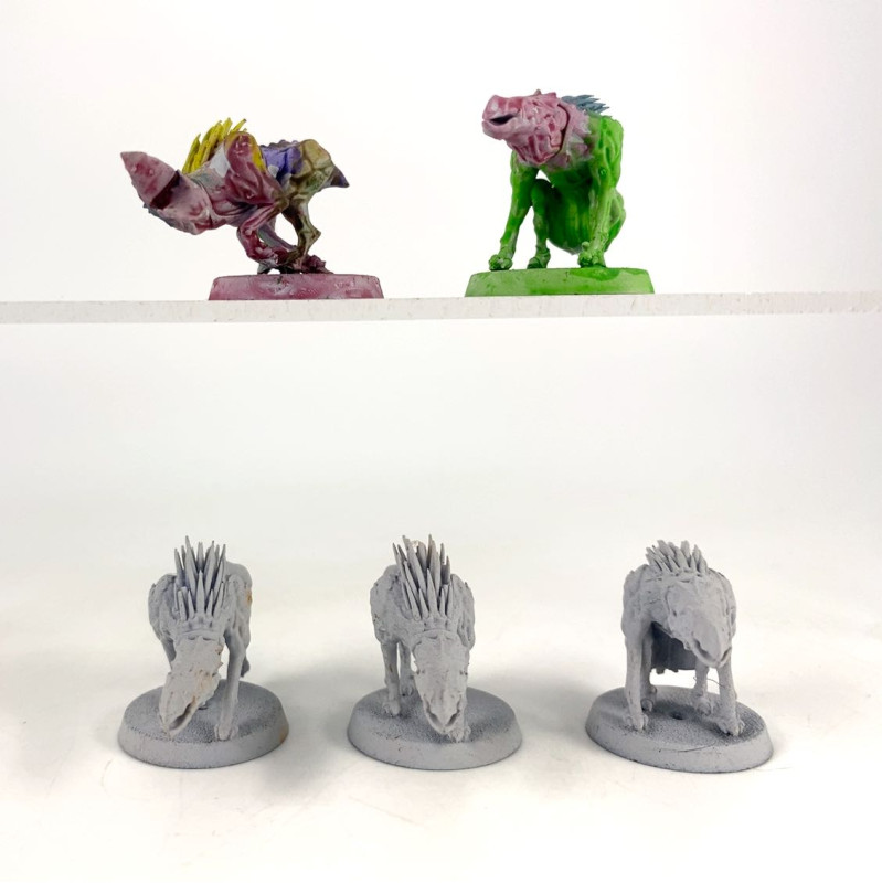 Kroot Hounds Old