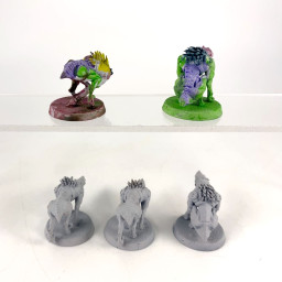 Kroot Hounds Old