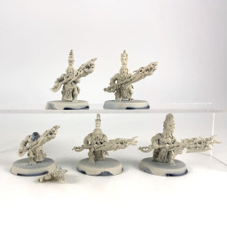 Auric Hearthguard