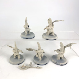 Auric Hearthguard