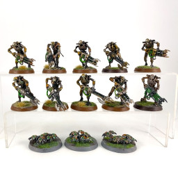 Guerriers + Scarab