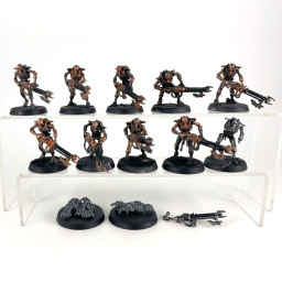 Warriors + Scarab