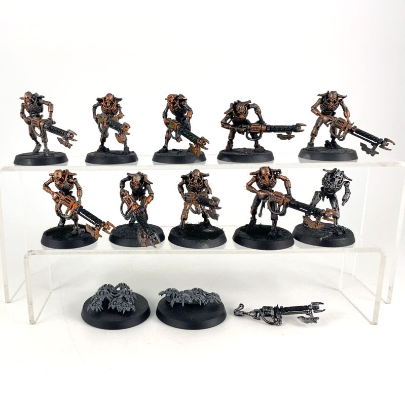 Warriors + Scarab