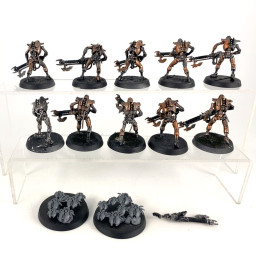 Warriors + Scarab