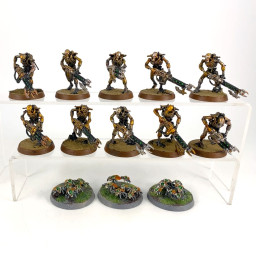 Guerriers + Scarab