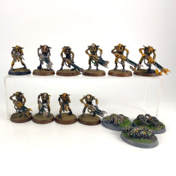 Guerriers + Scarab
