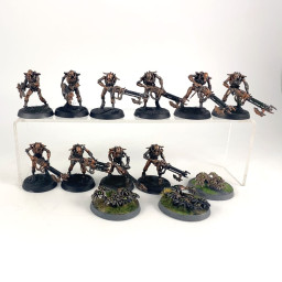 Guerriers + Scarab