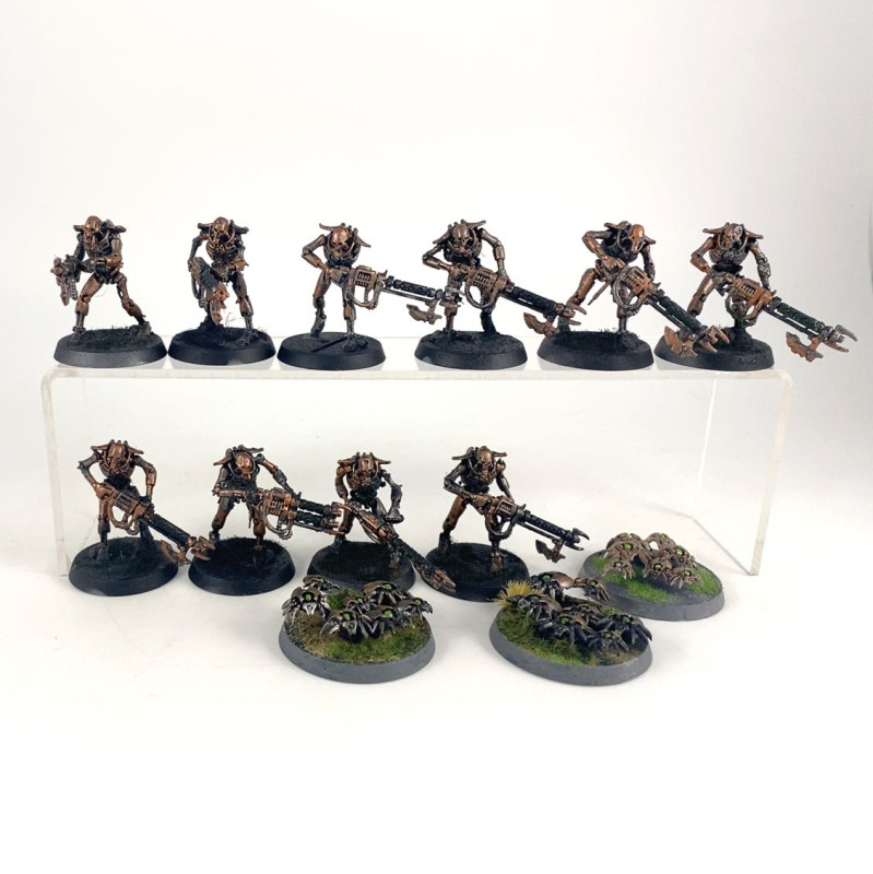 Guerriers + Scarab