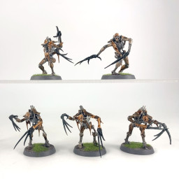 Flayed ones