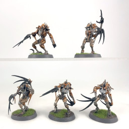 Flayed ones