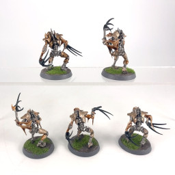 Flayed ones