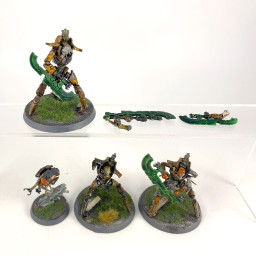 3 Skorpekh Destroyers + Plasmacyte