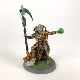 Tétrarque