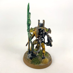 Necrons Overlord