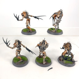 Flayed ones