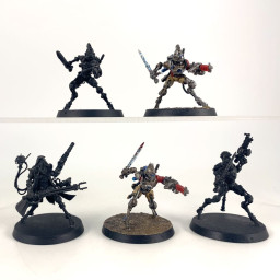Sicarian Infiltrators