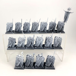 Chaos warriors
