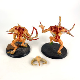Rejetons du chaos