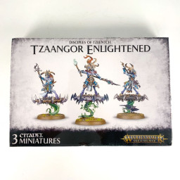 Tzaangors Éclairés - Neuf
