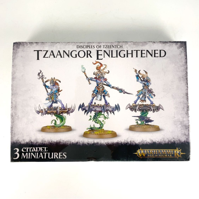 Tzaangor Enlightened - New