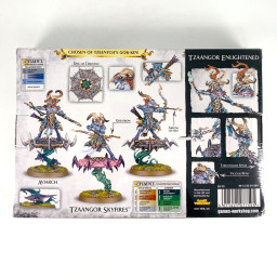 Tzaangor Enlightened - New