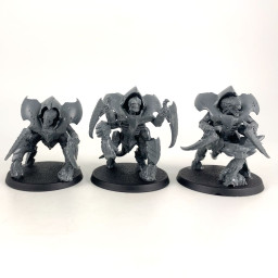 Gardes du Tyran