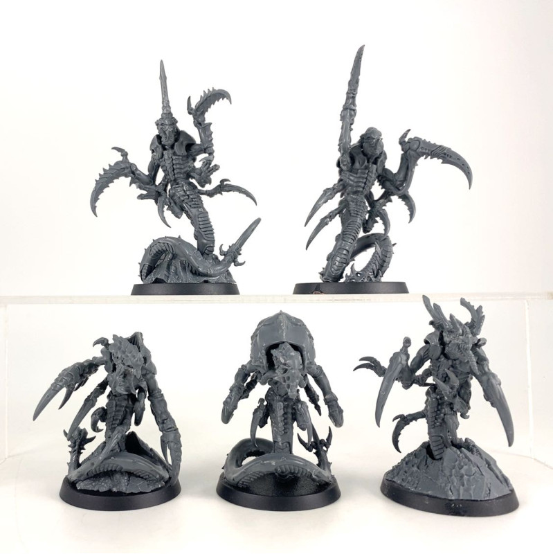 Kill Team: Rôdeurs